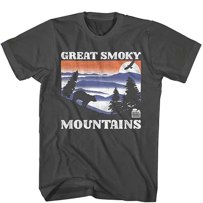 アメカジ 国立公園プリントTシャツ2枚セット